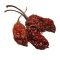 Bih Jolokia chili por 25 gramm tasakban