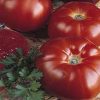 Supermarmande paradicsom Supermarmande paradicsom