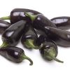 Jalapeno Purple chili paprika mag Jalapeno Purple chili paprika mag
