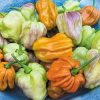 Habanero Mustard Habanero Mustard