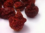 Carolina Reaper szárított chili egész