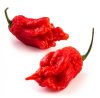 Carolina Reaper chili paprika mag / HP22B Selected Carolina Reaper chili paprika mag / HP22B Selected