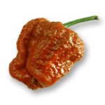 Trinidad Scorpion Caramel chili paprika mag